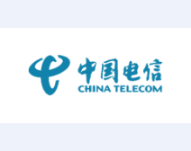 中国电信伙伴